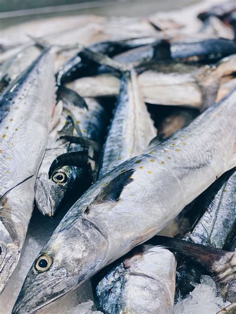 Pacific Fresh – Fish Company.
